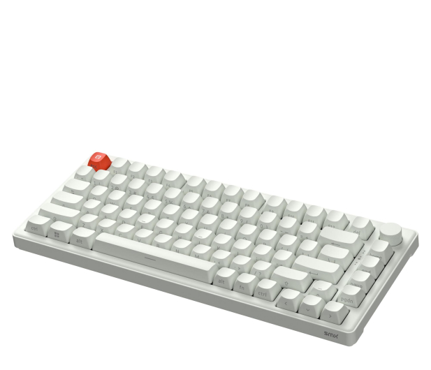 SMX Kishu Honey Switch Lumos white SMXG050 - 1417238 - zdjęcie 3